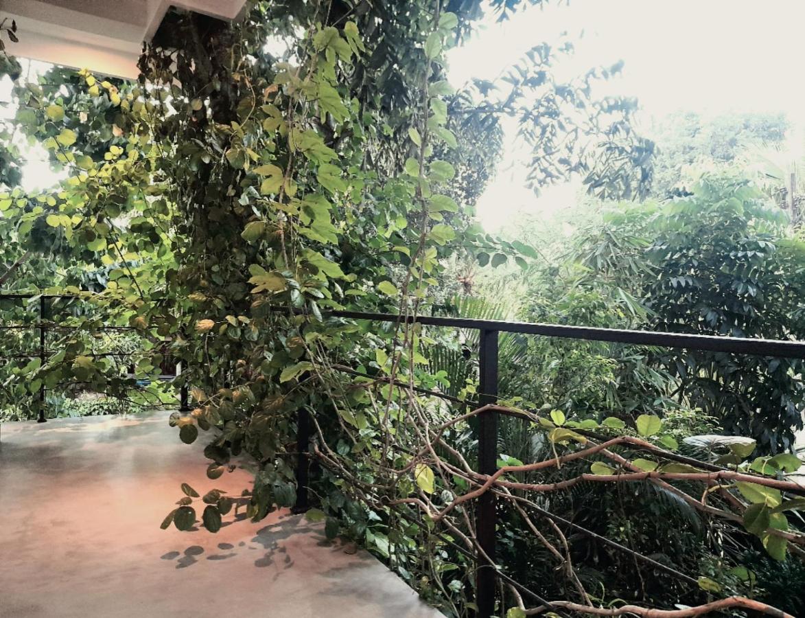 Weligama Bay Watsila Resort Dış mekan fotoğraf