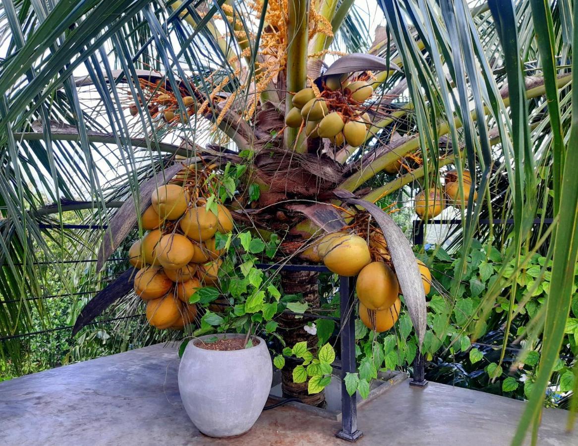 Weligama Bay Watsila Resort Dış mekan fotoğraf